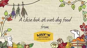 proper wet food for dogs lily s