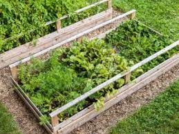 Tips For Designing Raised Garden Beds