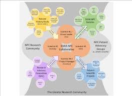 Soar Npc Organizational Chart At The Center Of Soar Npc Is