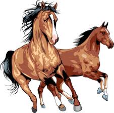 Desenho Cavalo PNG - Só imagens Top Cavalo PNG