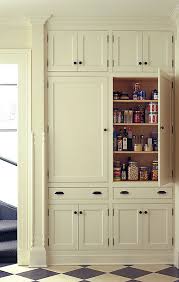 10 Kitchen Pantry Ideas For Your Home