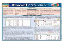 Read Pdf Excel Pivot Tables Charts Quick Study
