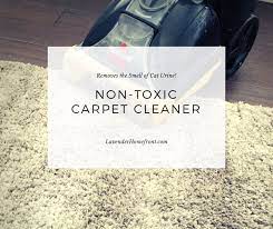 non toxic carpet cleaner