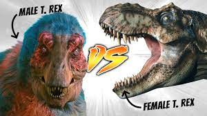 male t rex vs female t rex who would