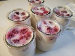 recette des yaourts aux fruits maison