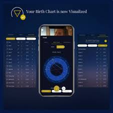 Houses In Astrology And Their Role In Your Birth Chart Nuit