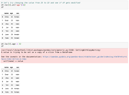 specific cell in python pandas dataframe