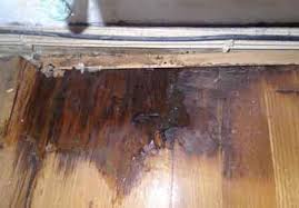 water damage to wood floors and