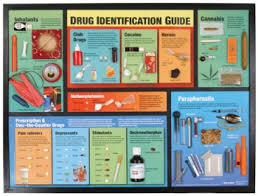 Drug Identification Guide Display
