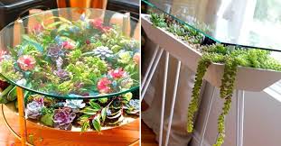 Glass Tables Into Giant Succulent Gardens