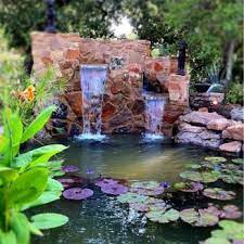 Hill Country Water Gardens Nursery