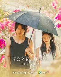 The forbidden flower season 2