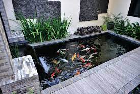 how to make tap water safe for ponds