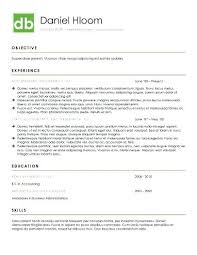 Modern Resume Templates Examples Free Download Cv Template