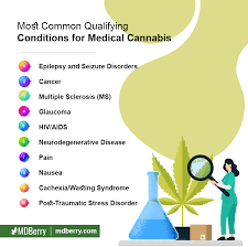 If a person who suffers from a state qualifying condition sees a florida medical marijuana doctors and becomes a registered mmj patient, they are the identification card given to approved medical marijuana patients in florida is administered by the florida department of health's office of. Minimum Age To Use Medical Marijuana Mdberry