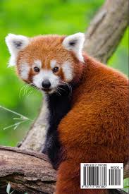 Check out inspiring examples of redpanda artwork on deviantart, and get inspired by our community of talented artists. World S Cutest Animal Red Panda Journal Take Notes Write Down Memories In This 150 Page Lined Journal Journal Animal Lovers Paper Pen2 9781717597380 Amazon Com Books
