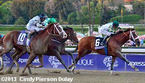 2013 Breeders Cup Classic Results