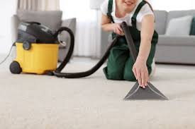 carpet cleaning park cleaning company