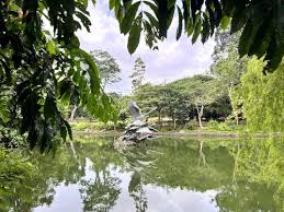 singapore botanic gardens tour