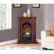 Propane Natural Gas Fireplace
