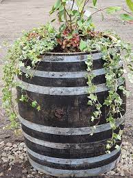 Oak Wine Barrel Planter Ex Whisky