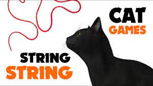 string string thing for all cats cat