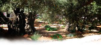the garden of gethsemane experience