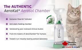 If an inhaler is recommended then ensure you are. Aerokat Cat Asthma Aerosol Chamber Easy To Use Inhaler Spacer Asthma Relief For Cats Asthma Spacer Compatible With Metered Dose Inhalers Mdi For Allergies Cat Wheezing Fits