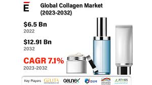 global collagen market size share