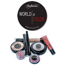world of color professional makeup kit