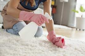 Ein teppich, der aus naturfaser besteht, kann grundsätzlich gewaschen werden. Hochflor Teppich Selbst Reinigen Tipps Hausmittel