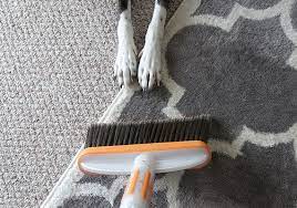 6 best pet hair removers for a fur free