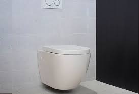 wall hung vs floor mounted toilet how