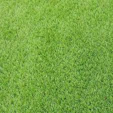 Wallpaper Artificial Grass