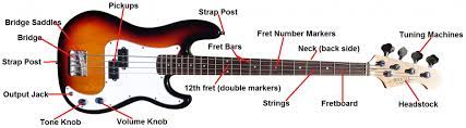 The fingerboard diagrams are based on standard tuning (eadg). Bass Guitar Lessons Parts Of The Bass Guitar Bass Player Center
