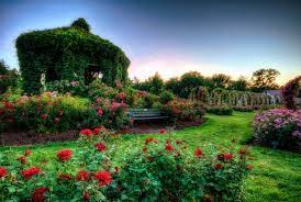 Best Rose Gardens In