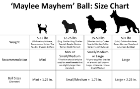 Maylee Mayhem Ball Large Wooney Dog Products