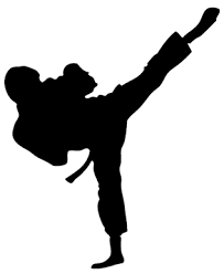 Kicks, stances and blocks) as well advanced martial arts techniques (i.e. What Is My Technical Kick Integrity Martial Arts
