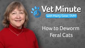 For dogs over 100 pounds: Deworming Feral Cat Colonies Youtube