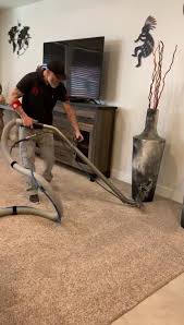 expert carpet upholstery cleaning
