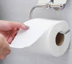 What Is The Toilet Roll Cirference
