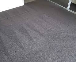 carpet cleaning in perth a plus
