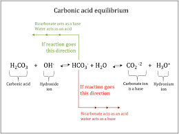 Acids And Bases Ii Chemistry