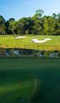 Walt Disney World Golf Courses in Orlando, FL | Golf Resort