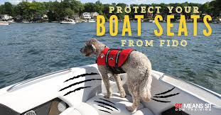 Your Boat Seats From Your Dog
