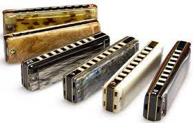 The harmonica surprises many the first time they try to play it. Top 10 Best Harmonicas For 2021 Reviews Load Records