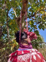 Here's a completely nsfw subreddit, devoted completely to gore and/or death. Cambodia Teenage Girl Hanged Herself From A Tree