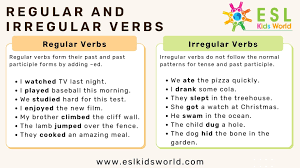 regular and irregular verb exles