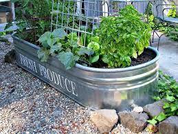 Grow Vegetables In Containers Garden
