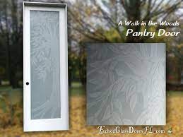Pantry Door With Frosted Glass And